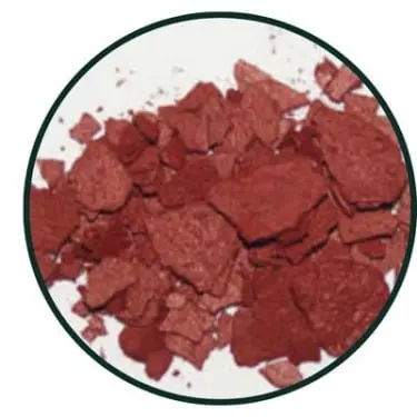 Turnera Diffusa Leaf